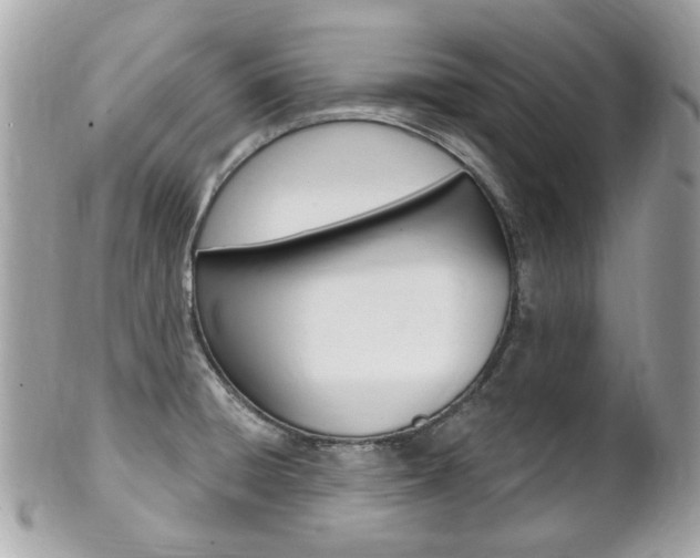 X0000102001428200807180838