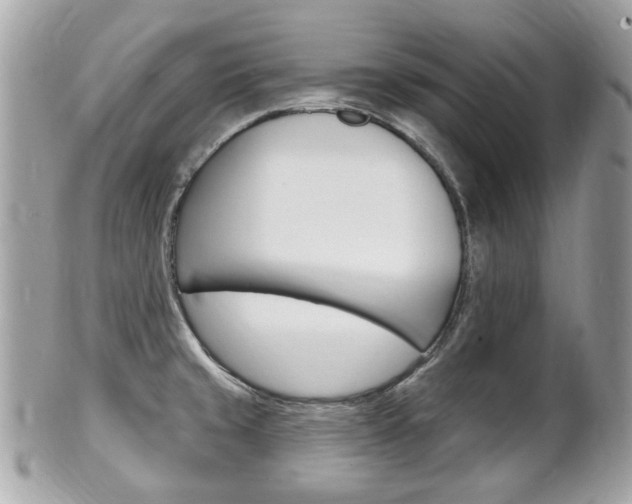 X0000102001429200807180838