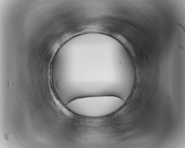 X0000102001431200807180838