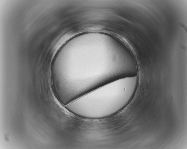 X0000102001432200807180838