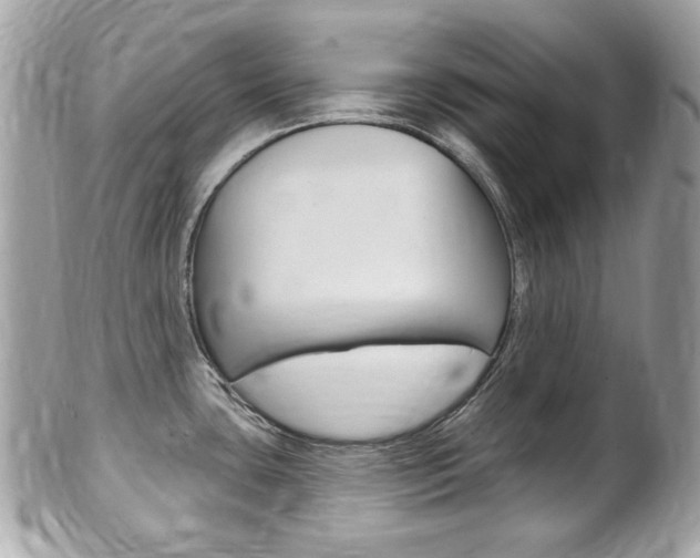 X0000102001435200807180838