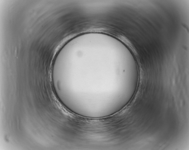 X0000102001436200807180838
