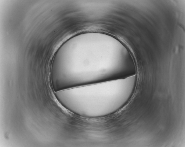 X0000102001437200807180838