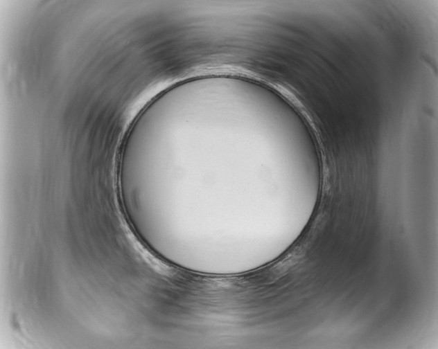 X0000102001438200807180838