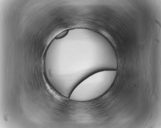 X0000102001439200807180838