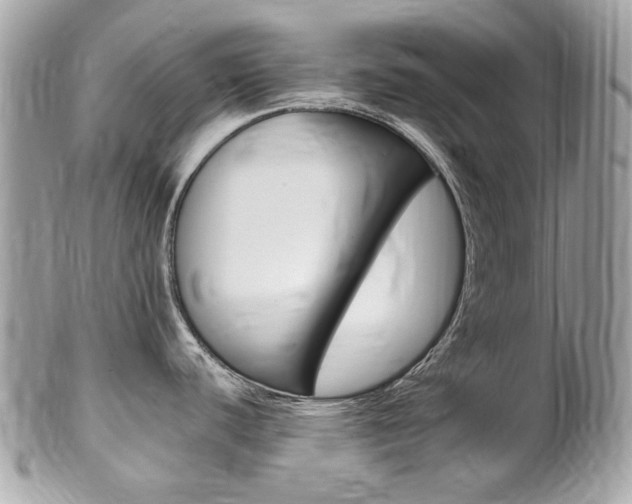 X0000102001440200807180838