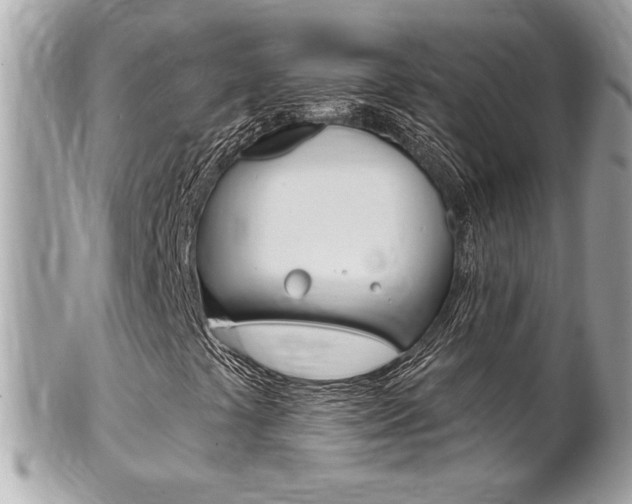 X0000102001441200807180838
