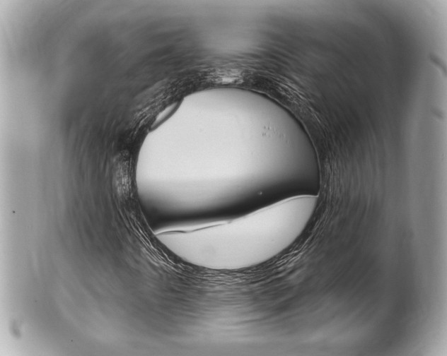 X0000102001442200807180838