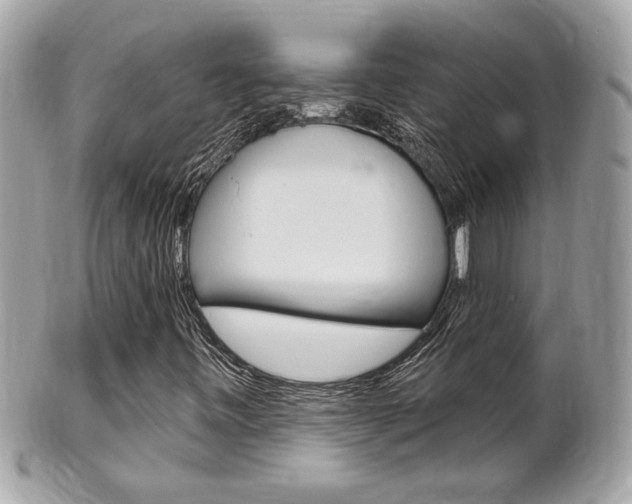 X0000102001443200807180838