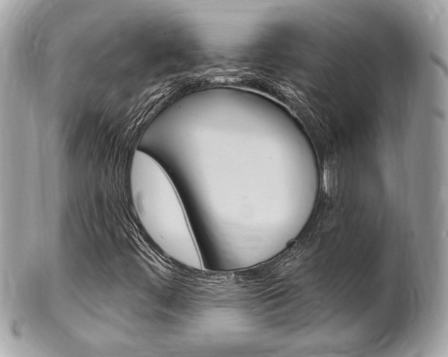 X0000102001444200807180838