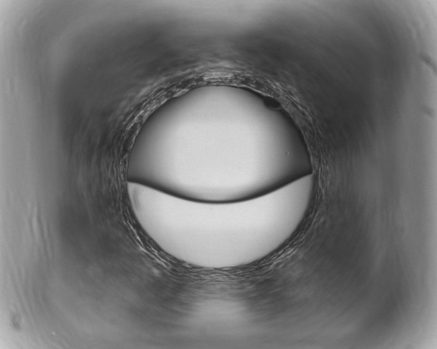 X0000102001445200807180838