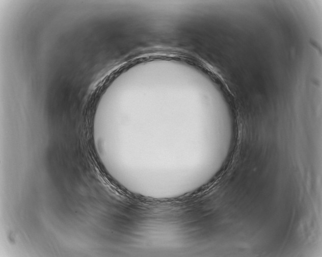 X0000102001448200807180838
