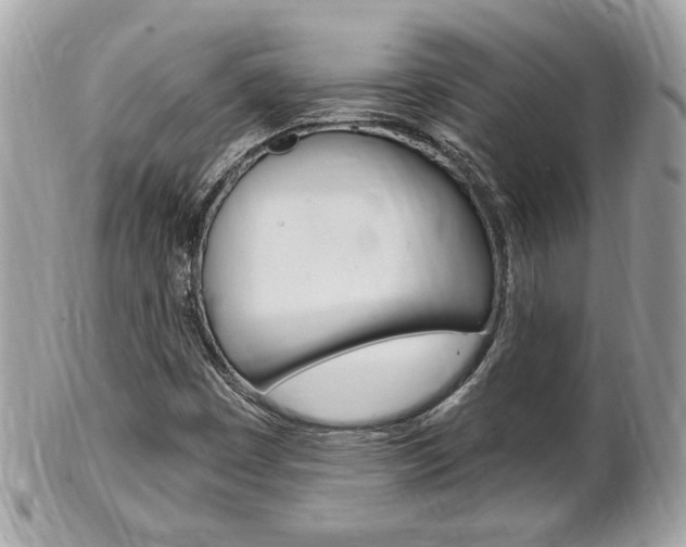 X0000102001449200807180838