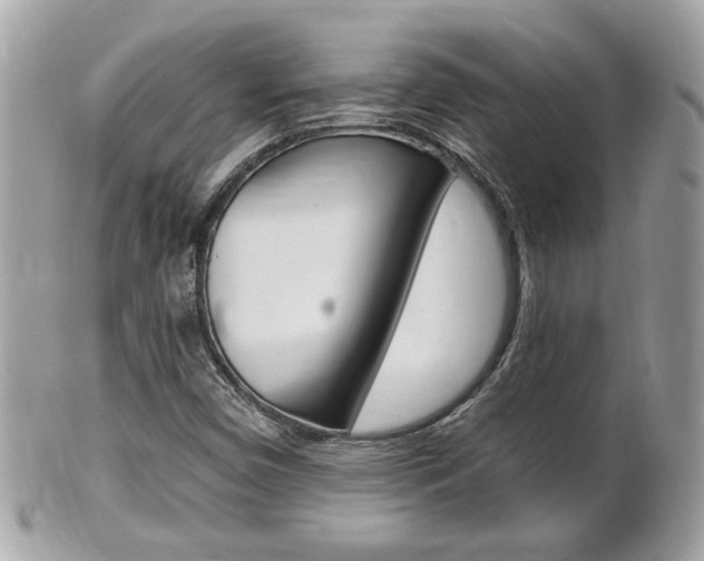 X0000102001450200807180838