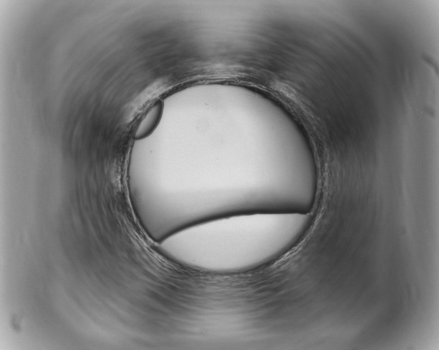 X0000102001451200807180838
