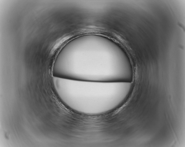 X0000102001453200807180837