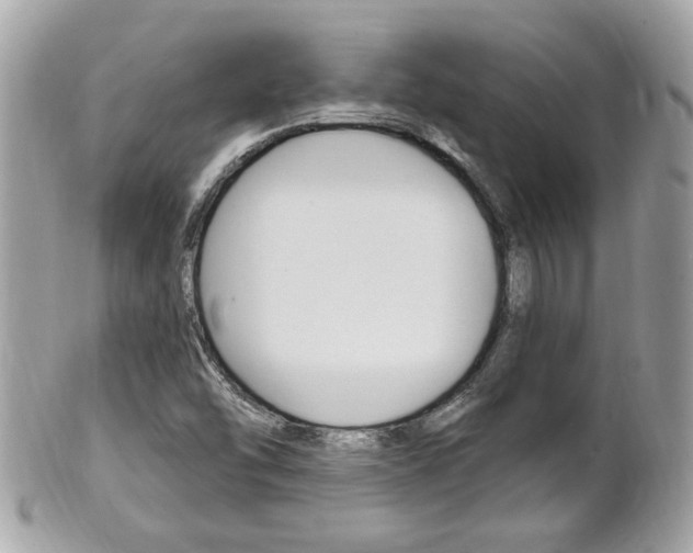 X0000102001454200807180837