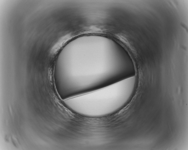 X0000102001455200807180837