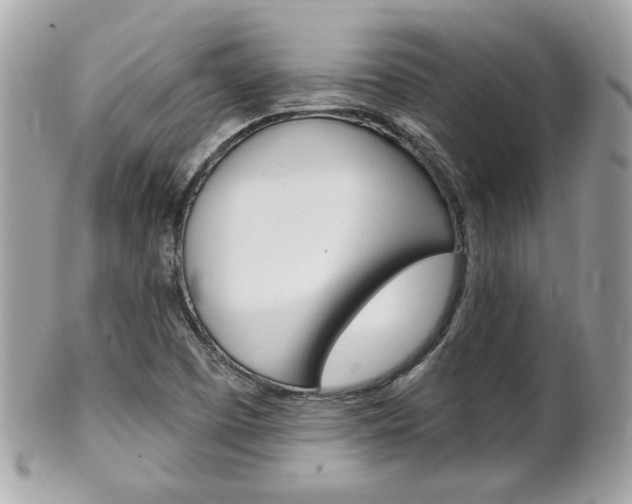 X0000102001457200807180837