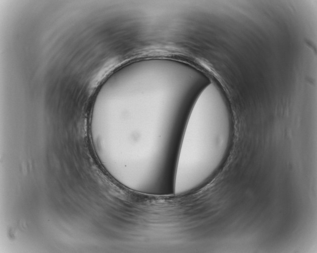 X0000102001459200807180837