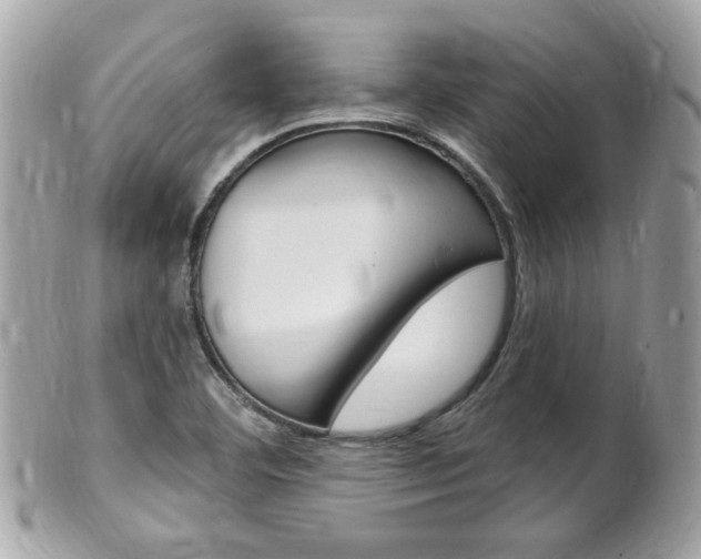X0000102001460200807180837