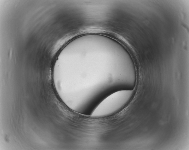 X0000102001461200807180837