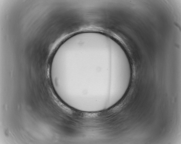 X0000102001462200807180837