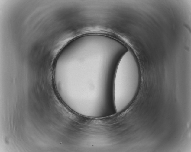 X0000102001463200807180837