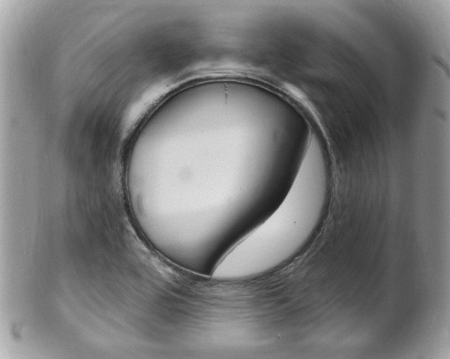 X0000102001464200807180837