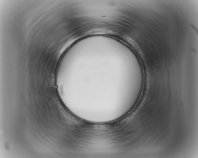 X0000102001465200807180837