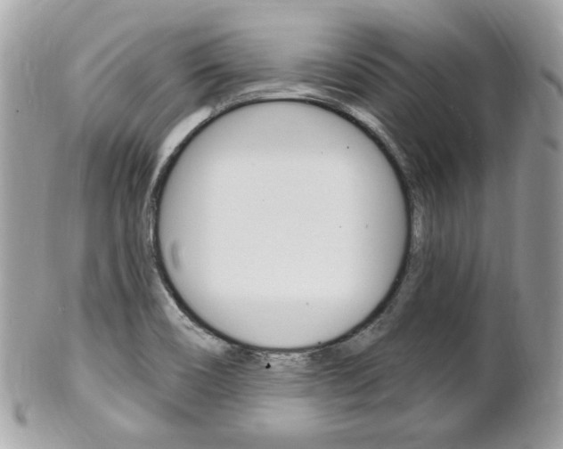 X0000102001466200807180837