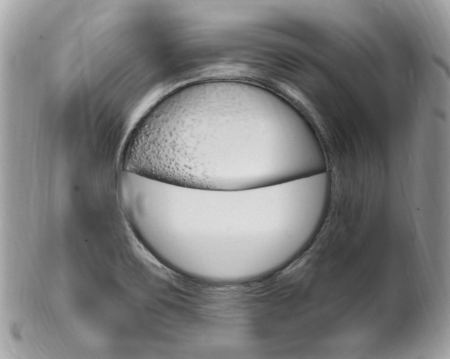 X0000102001467200807180837