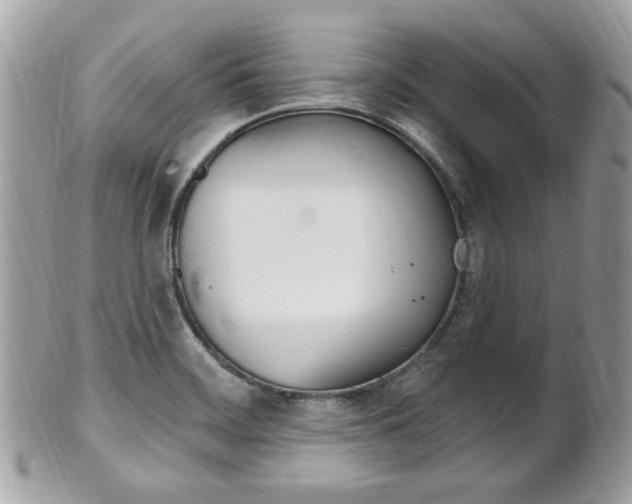 X0000102001468200807180837