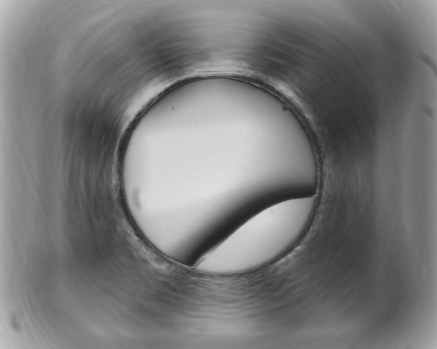 X0000102001469200807180837