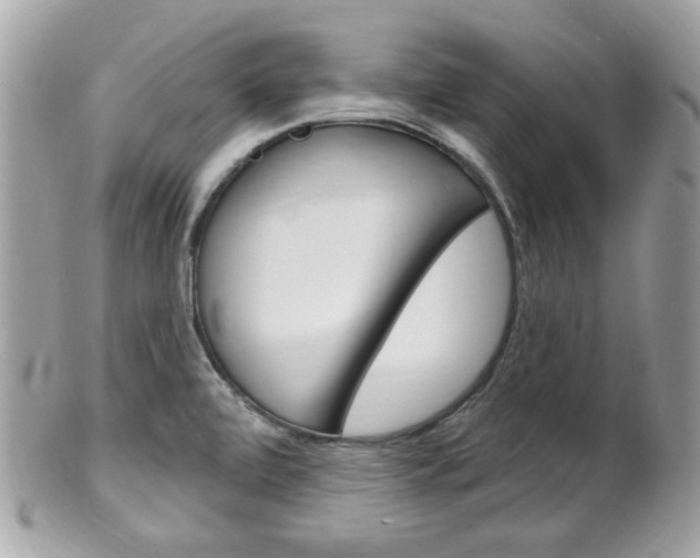 X0000102001472200807180837