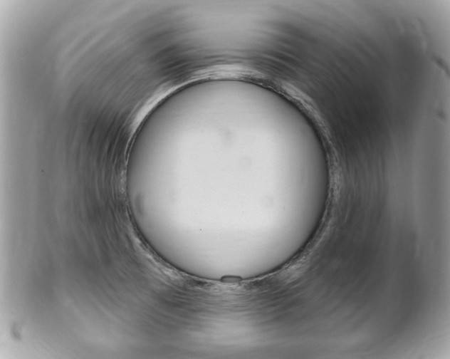 X0000102001473200807180837