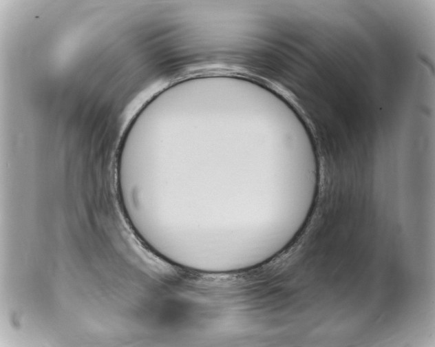 X0000102001474200807180837