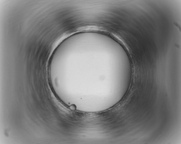 X0000102001475200807180837