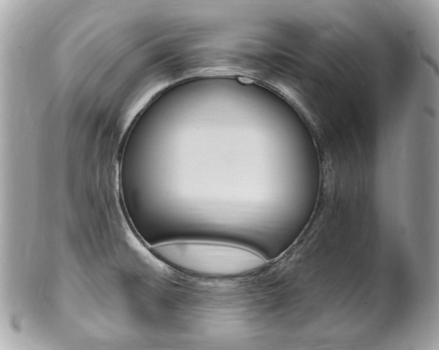 X0000102001476200807180837