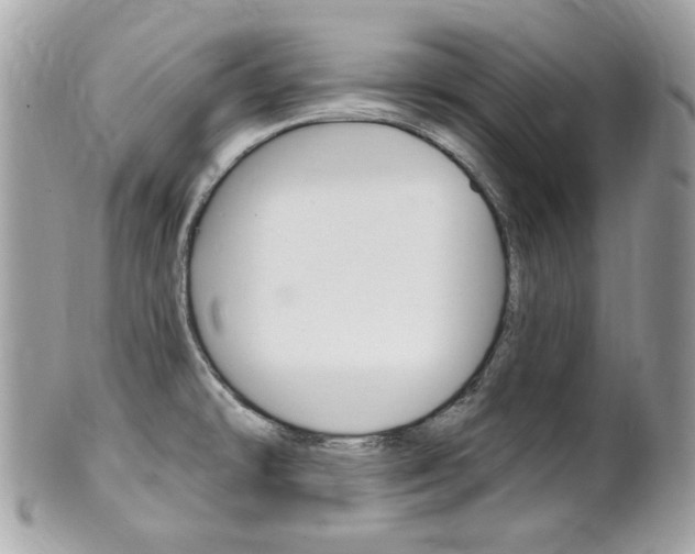 X0000102001478200807180837