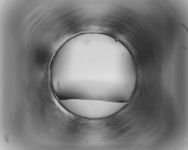 X0000102001479200807180837
