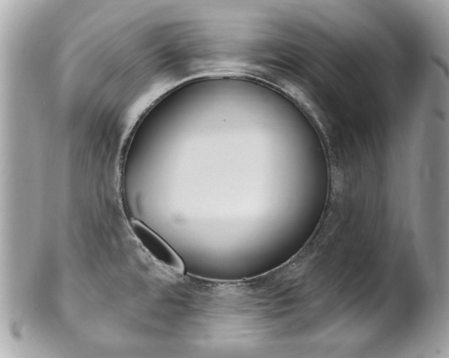 X0000102001480200807180837