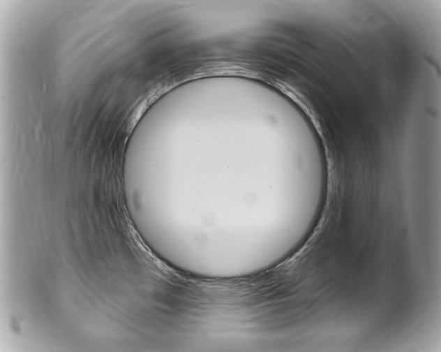 X0000102001481200807180837