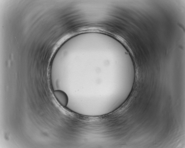 X0000102001482200807180837
