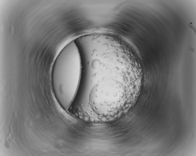 X0000102001483200807180837