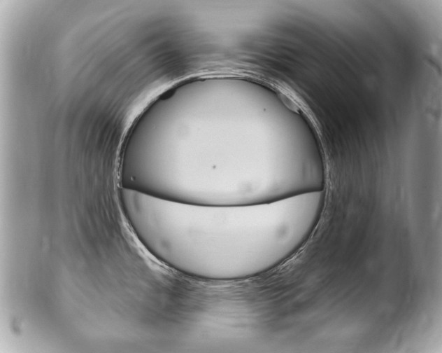 X0000102001485200807180837