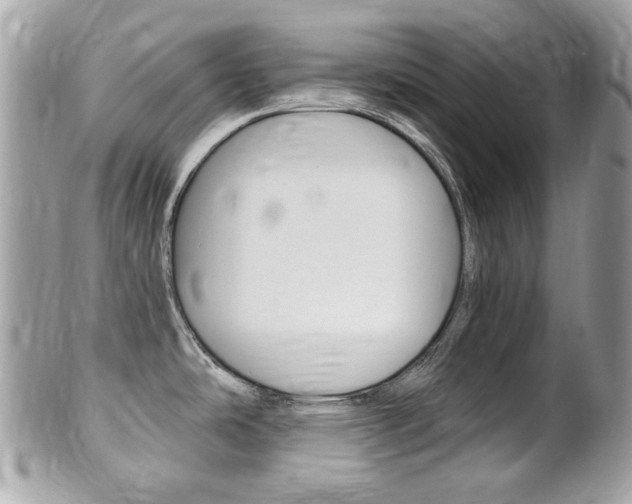 X0000102001486200807180837