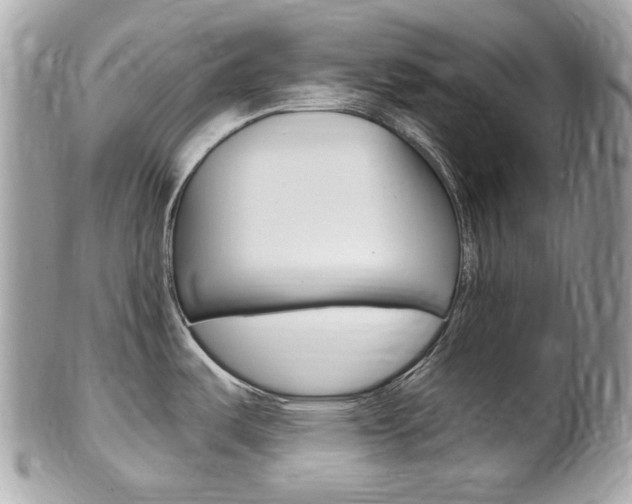 X0000102001487200807180837