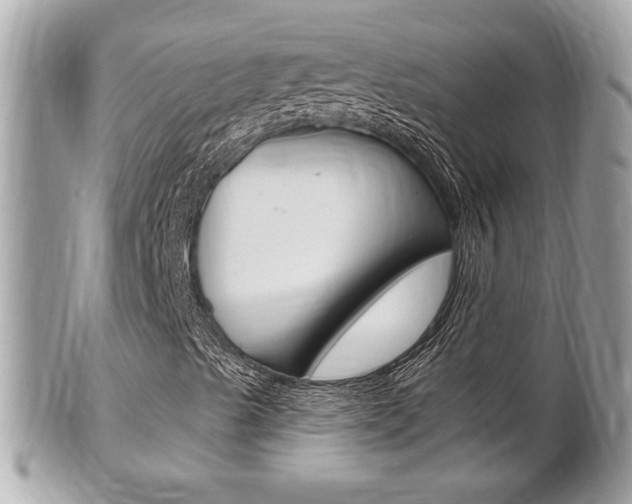 X0000102001489200807180836