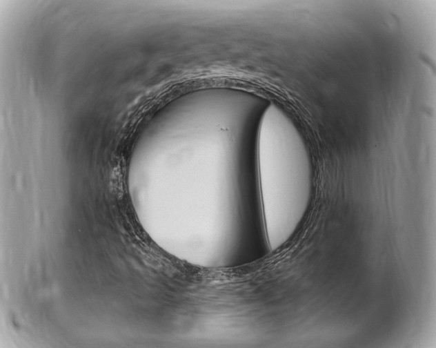 X0000102001493200807180836